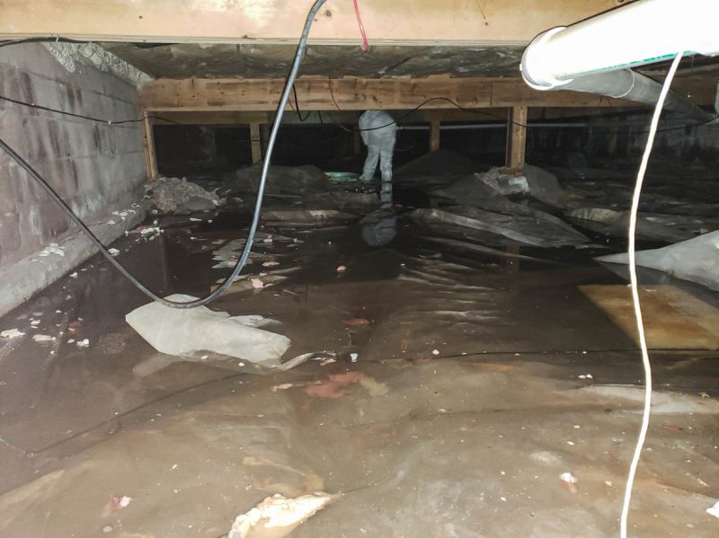 Preventing Water Damage Year-Round